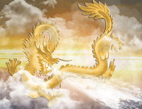 龙在天上飞行