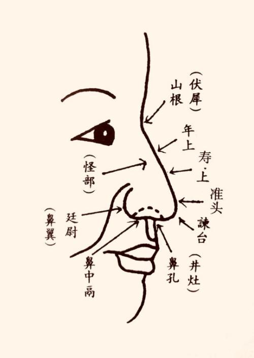 2018年男人的鼻子看相图解