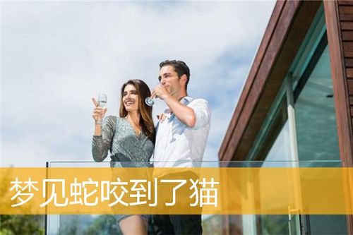梦见猫叼蛇是什么意思