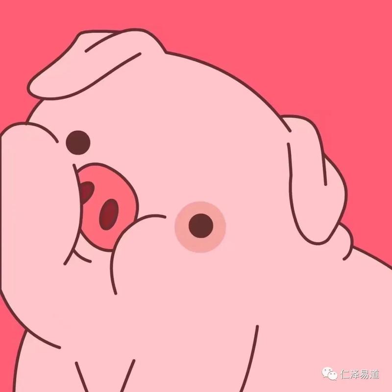 2020鼠年属猪有何命劫