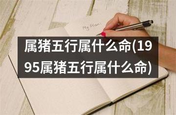 属猪人在爱情中遇到什么会很受伤