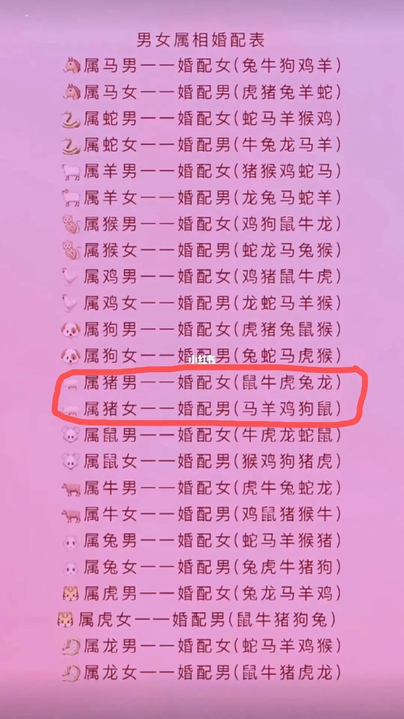 今年27岁属什么生肖