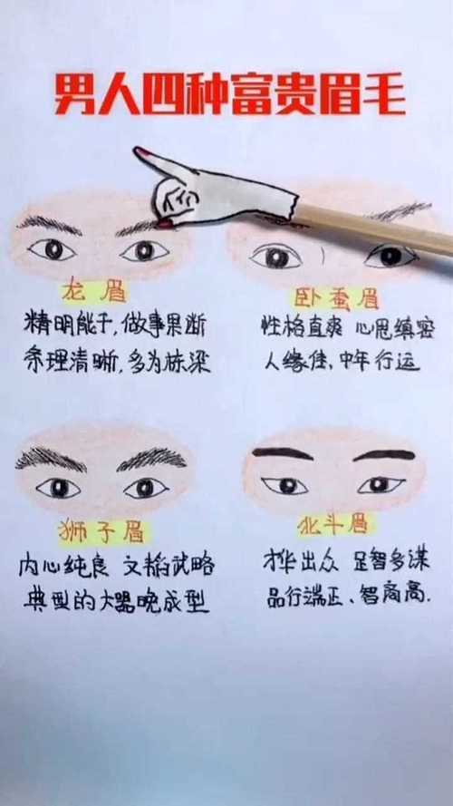 揭秘成功人士的眉形面相