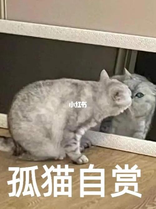 让生肖虎更爱你的绝招