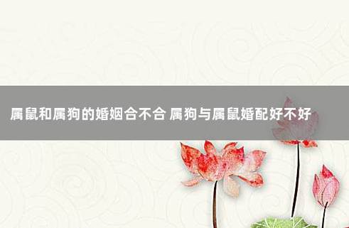 属鼠女和属狗男的婚姻怎么样