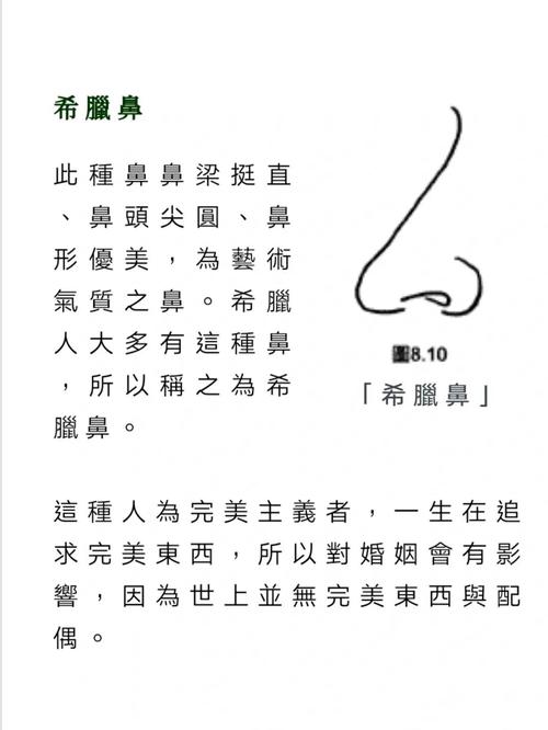 希腊鼻面相好不好