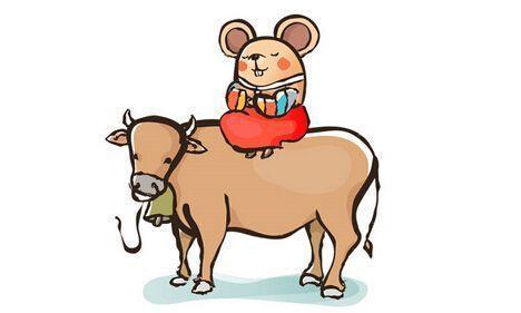 属马会后悔自己的什么决定