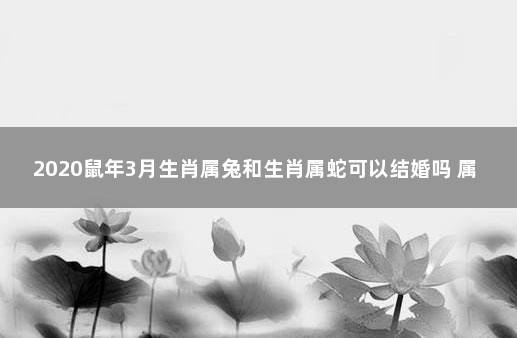 2020鼠年3月生肖属蛇和生肖属狗结婚好不好