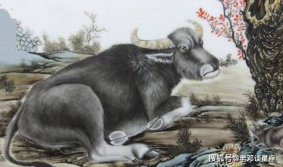 属牛的一生中的贵人