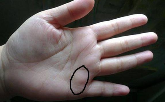 9种手纹的女人命好具体是哪些