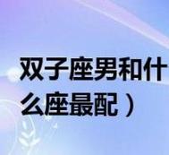 双子座的男生是怎样的