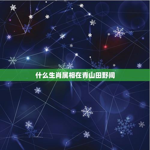 去田野里找是什么生肖