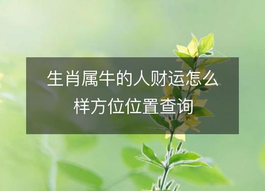 属牛财运在什么位置