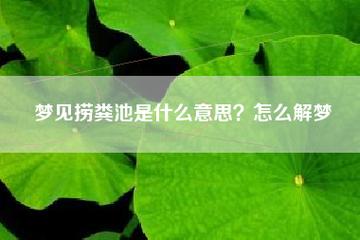 梦掉粪坑里爬出来去洗什么意思