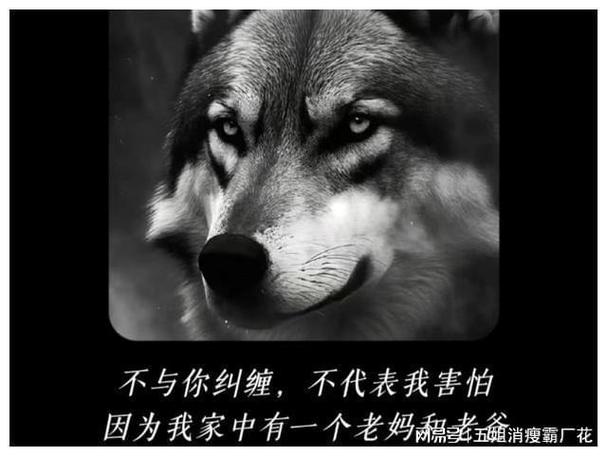 莫欺少年穷 脸上有这三种特征的人 最好别惹