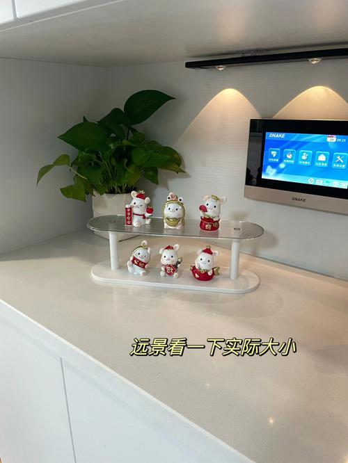 双11!看看属兔是大出血的主吗