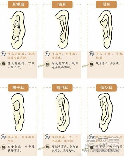 开花耳面相解析