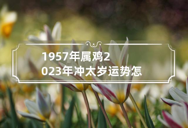 1957年属鸡的人2013年运程,1957年属鸡人2013年运势