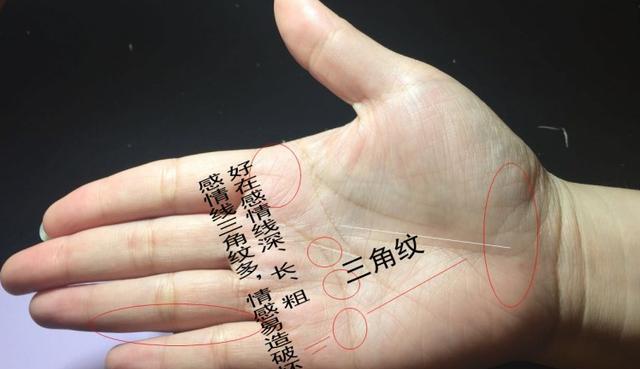 3角纹手相 天生聪慧大富大贵事业旺
