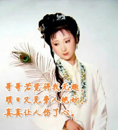 林黛玉心忧婚事