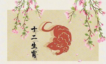 96年属鼠2020年运势