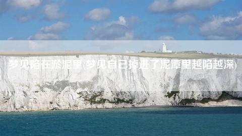 梦见污泥,梦见陷入泥潭