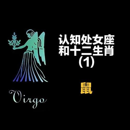 12生肖的爱情是讲究还是将就