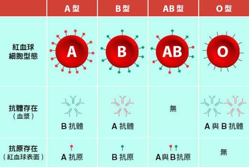 o型血怎么看出来