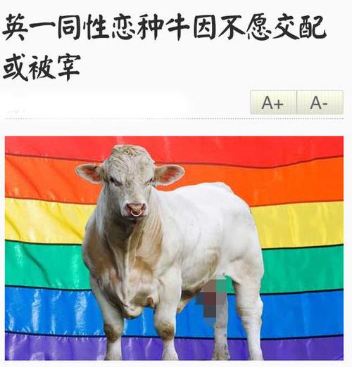 生肖虎发现自己是同性恋时会怎么做