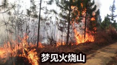 女人梦见火烧山好不好