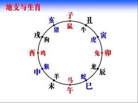属虎的卯时出生最命苦