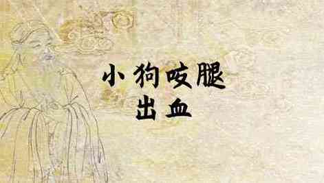 梦见狗咬小腿