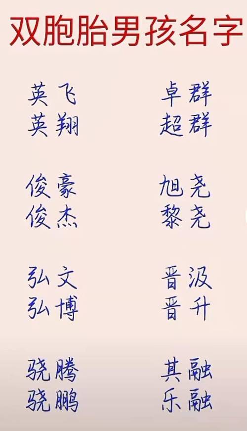 鼠年双胞胎男孩取名字大全