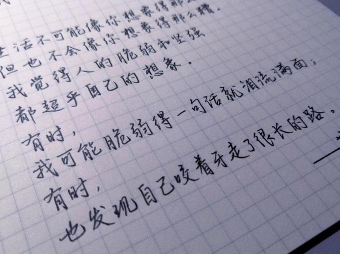 属兔会轻率冒进而不知沉着冷静吗