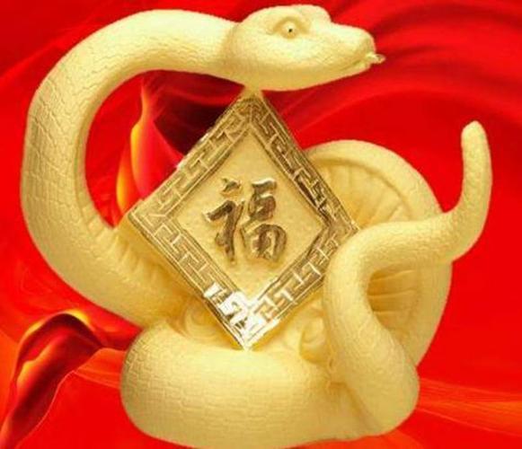 属蛇的人若是想转运要怎么做