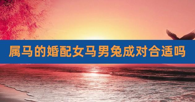 男属马婚配什么女好