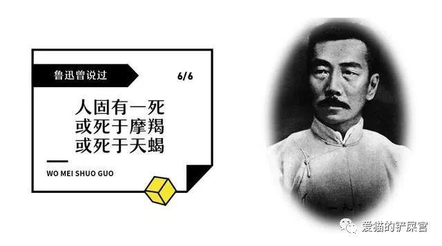 鲁迅说过天蝎座会喜欢白羊座