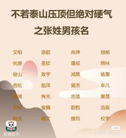 取名字张男孩 张男孩子名字