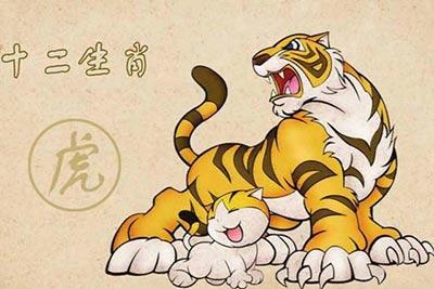 谁是属虎的人在2020年的财运贵人