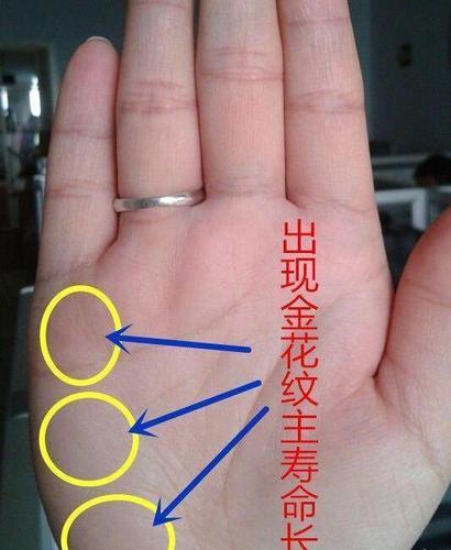 罕见的富贵手相