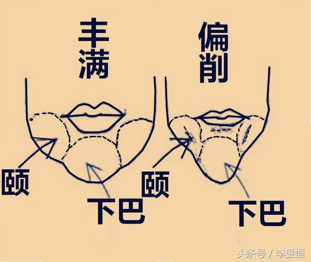 下巴部位面相运势解析