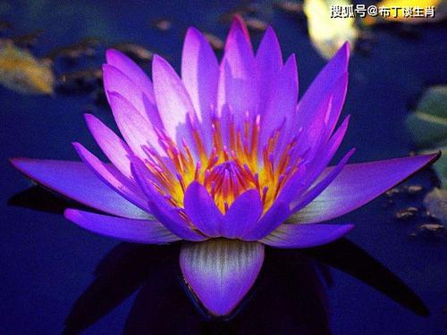 苦日子走到尽头,3生肖钱多福旺,极其的幸福