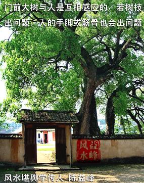 大树压门家无后人风水