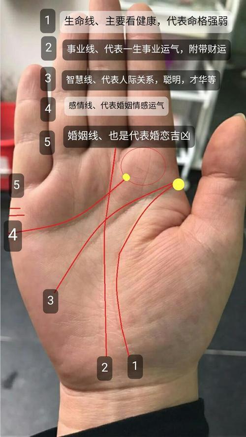 女手相感情线图解大全