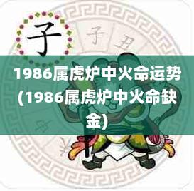 86属虎炉中火命住五楼好不好,86虎一生吉利数字