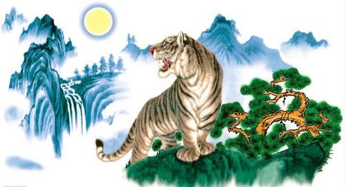 玄机妙算:属虎过年运气好么