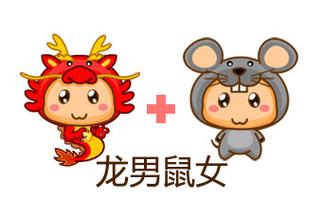 男鼠女龙会幸福吗