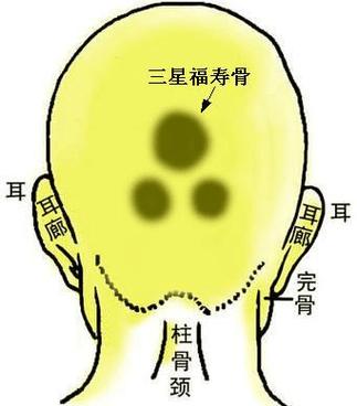 骨相大全——福堂骨