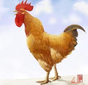 属鸡人跟异地的恋人相见最关心的是什么