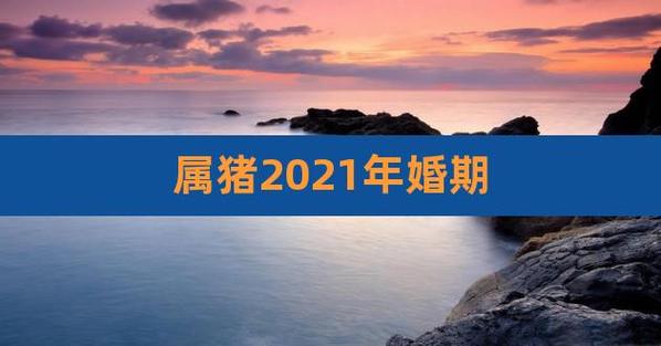 属猪的23年结婚最好的吉日
